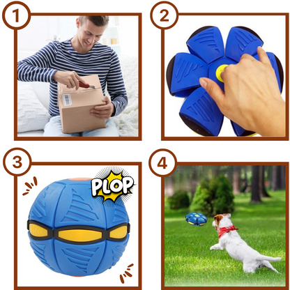 Hundespielzeug - Fliegender Ball