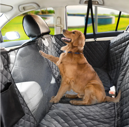 Hunde-Autodecke & Trennwand für Rückbank/Kofferraum inkl. Haltegurt_schwarz 4