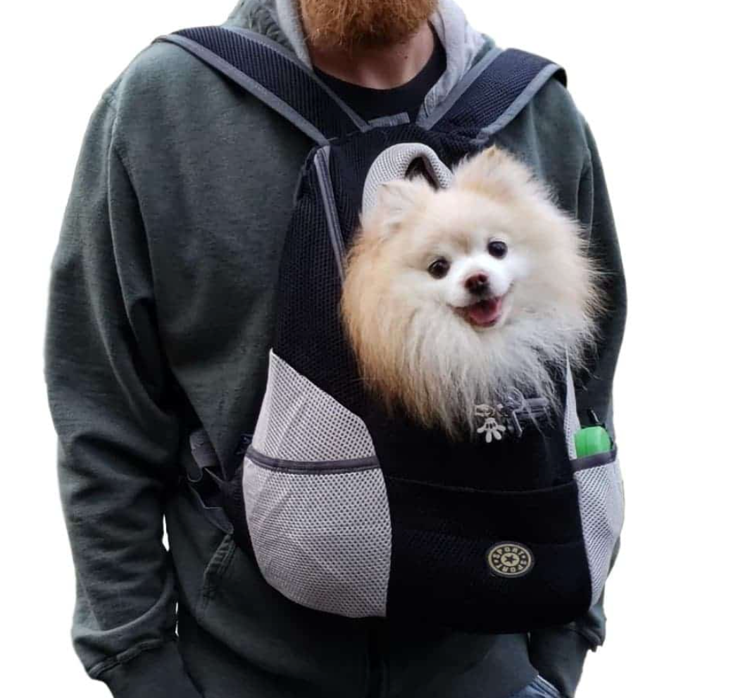 Hunde-Tragerucksack für kleine & mittelgroße Hunde bis max. 11 kg - super bequem & größenverstellbar_schwarz neu