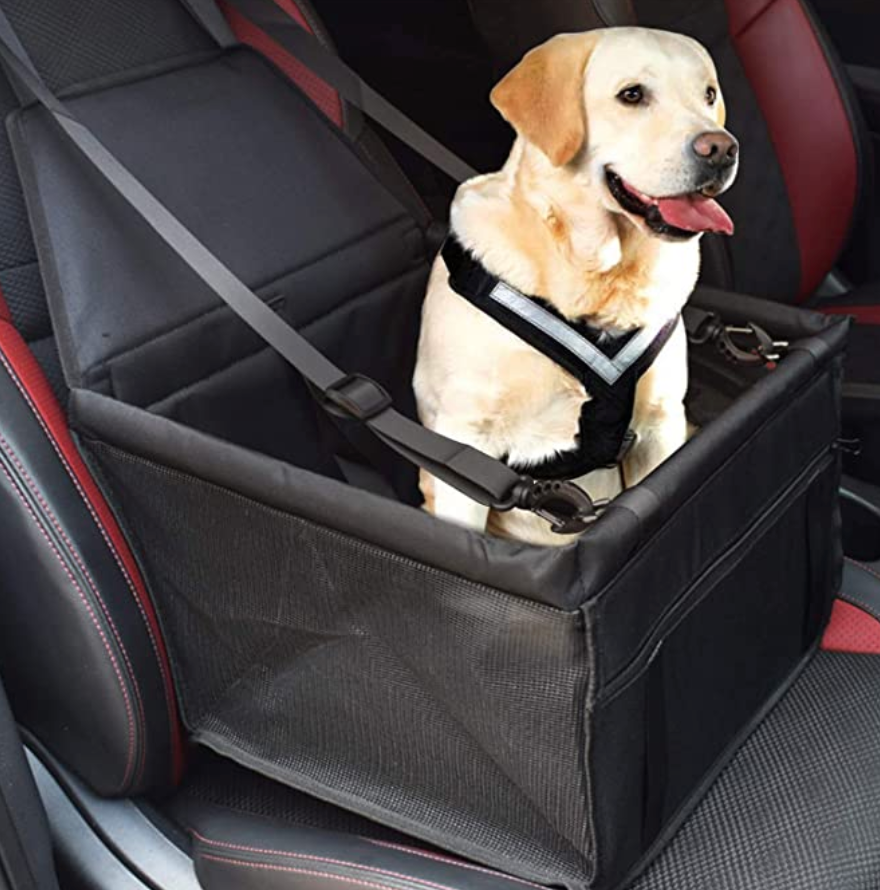 Hunde-Autositz - extra stabil & hochwertig, für kleine bis mittlere Hunde, schwarz