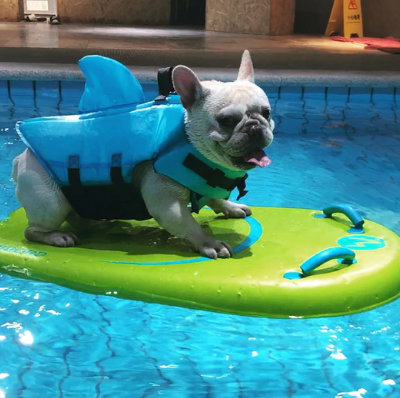 Hunde Schwimmweste