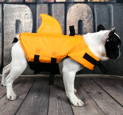 Hunde Schwimmweste