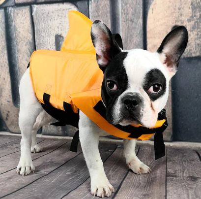 Hunde Schwimmweste