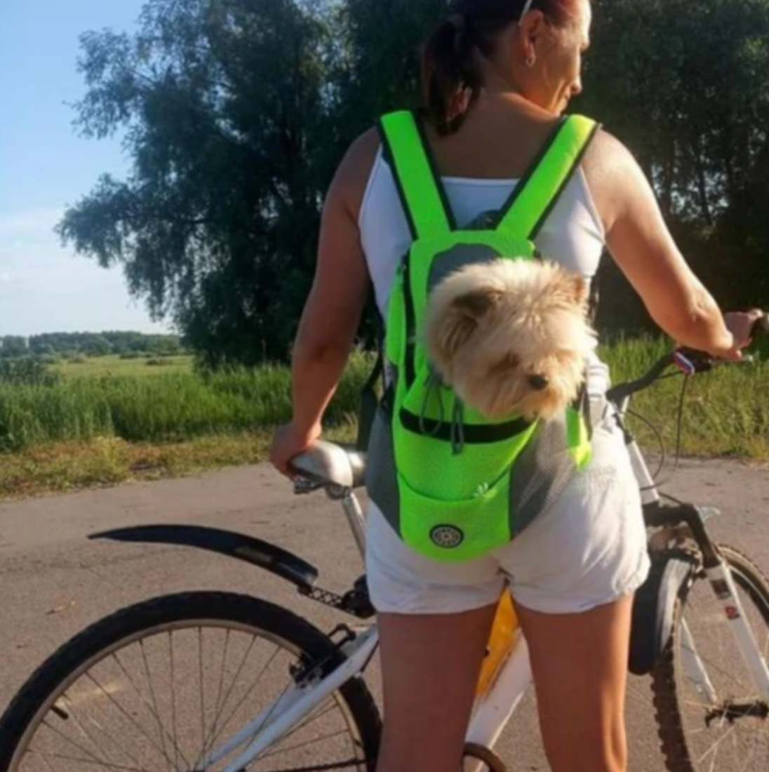 Hunde Tragerucksack grün testsiegerHunde-Tragerucksack für kleine & mittelgroße Hunde bis max. 11 kg - super bequem & größenverstellbar_grün testsieger