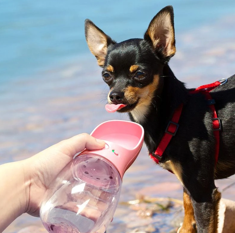 Hunde-Trinkflasche inkl. Futterbehälter für unterwegs,_neu