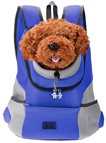 Hunde-Tragerucksack für kleine & mittelgroße Hunde bis max. 11 kg - super bequem & größenverstellbar_neue kollektion