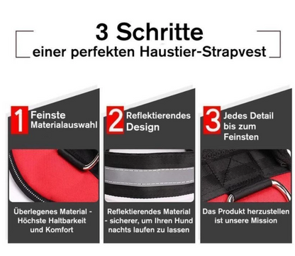 Flexy™ Power Hundegeschirr, strapazier- und anpassbar  qualität