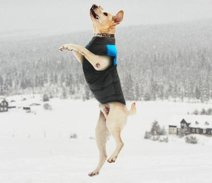 Winter-Hundejacke / Hundeweste / Hundemantel - wasserdicht, warm & weich_blau