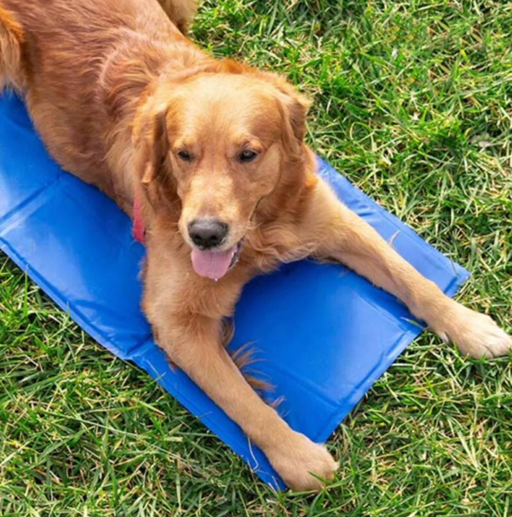 Kühlmatte mit Eisseide / Kühlbett für Hunde & Katzen - erfrischend an heißen Sommertagen, wasserfest, leicht waschbar 2
