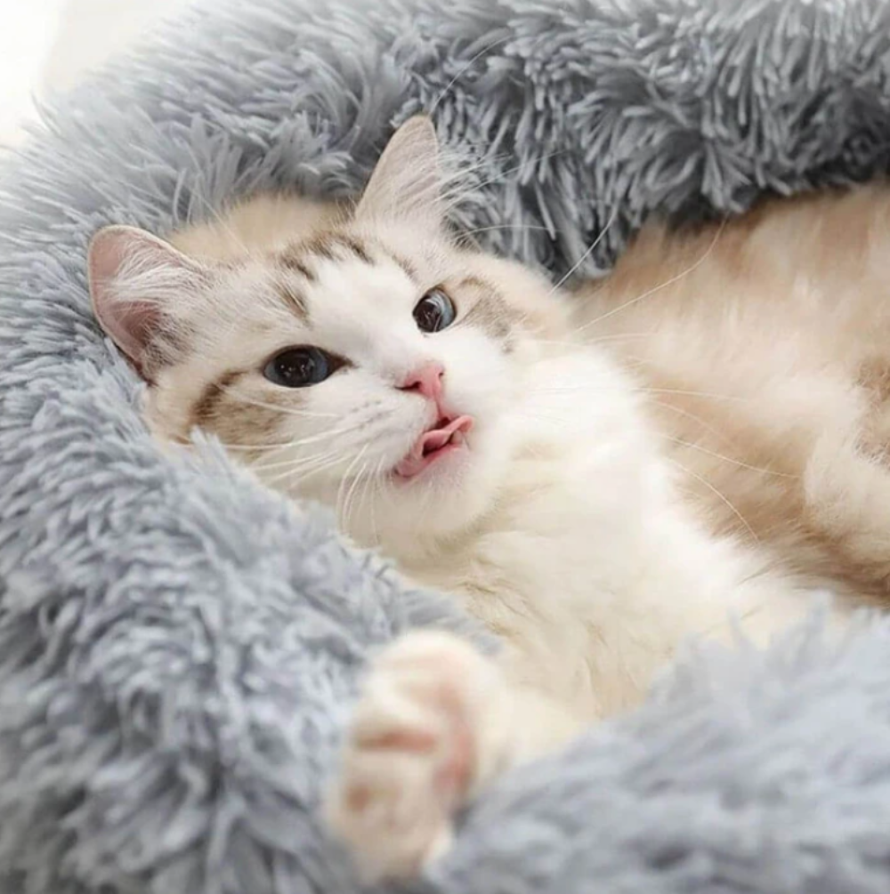 Kuscheliges Katzenbett "Wolke7" - das Original_flauschig