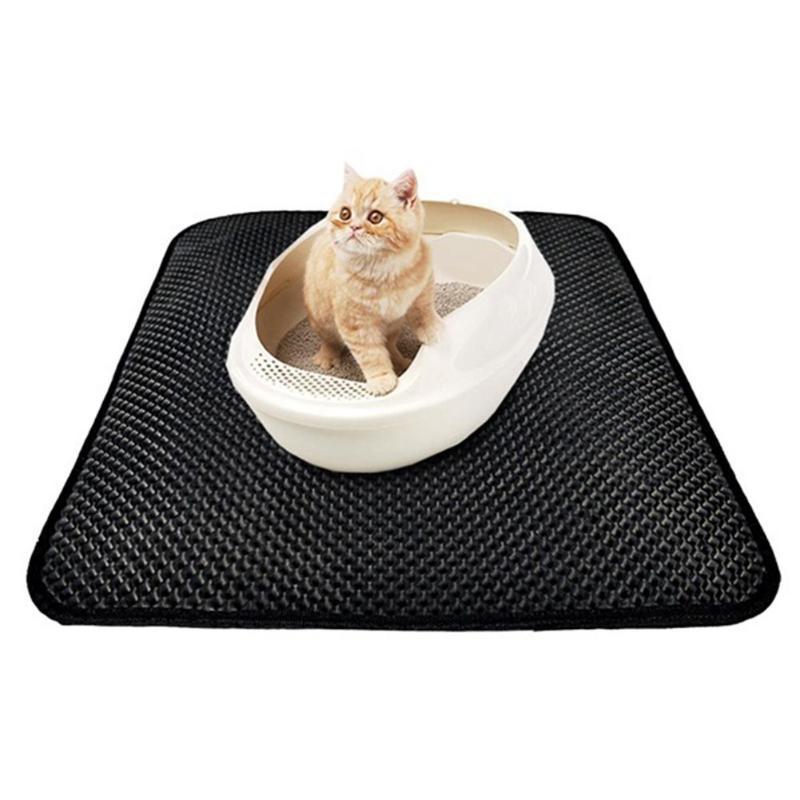 katzenklo kätzchen