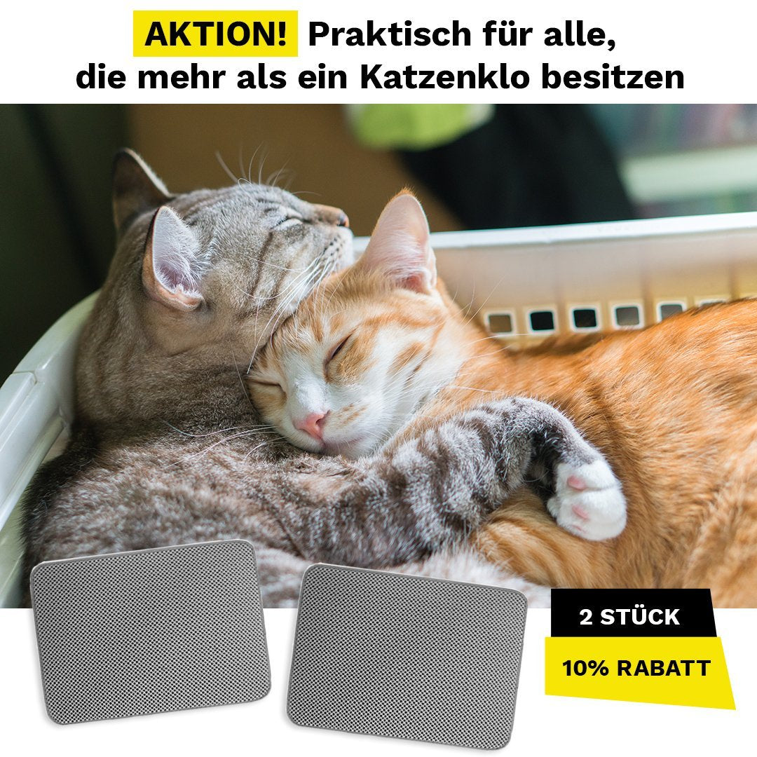 katzenklo testsieger