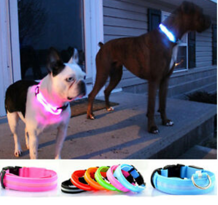 hundehalsband led mit usb