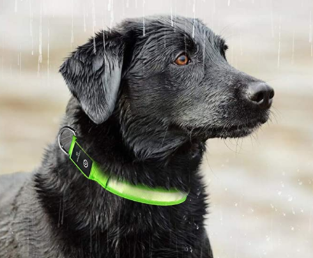 led hundehalsband