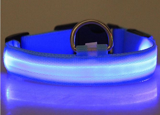 hundehalsband led blau