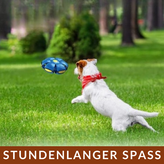 Hundespielzeug - Fliegender Ball