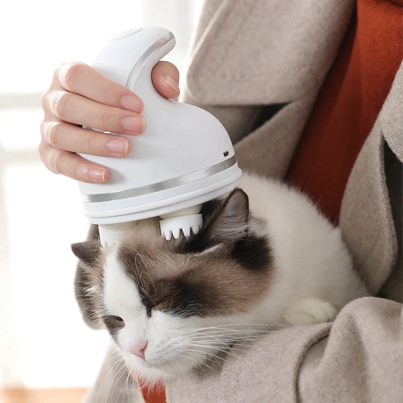 Massagegerät für Katzen