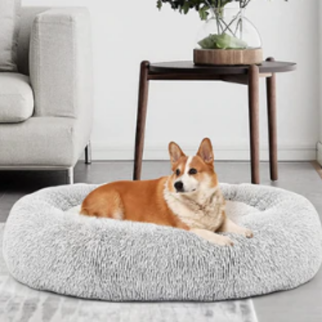 Das bestbewertete Hundebett von Tiertherapeuten entwickelt – Pfoten Paradies