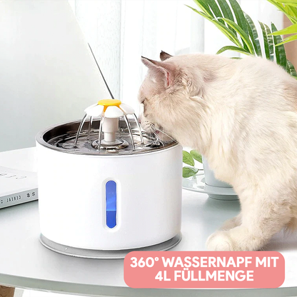 Trinkbrunnen für Katzen - Testsieger