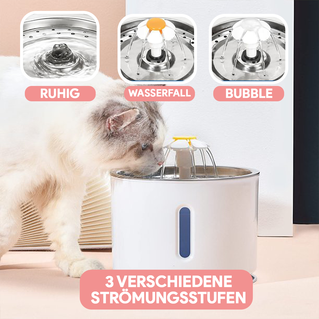 Trinkbrunnen für Katzen - Testsieger