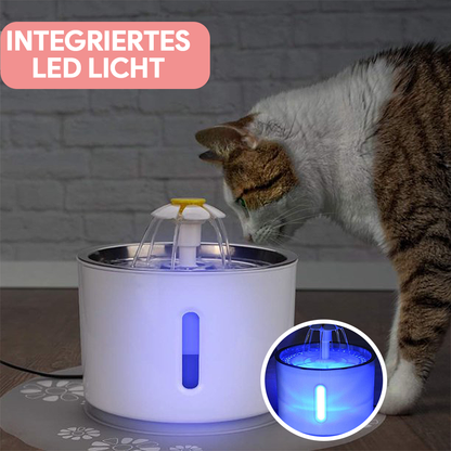 Trinkbrunnen für Katzen - Testsieger