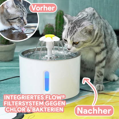 Trinkbrunnen für Katzen - Testsieger