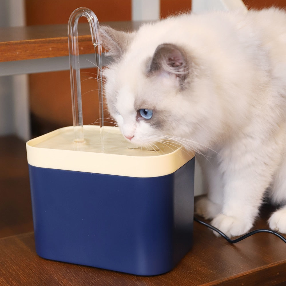 Katzen Trinkbrunnen - Katzenbrunnen mit Wasserfilter