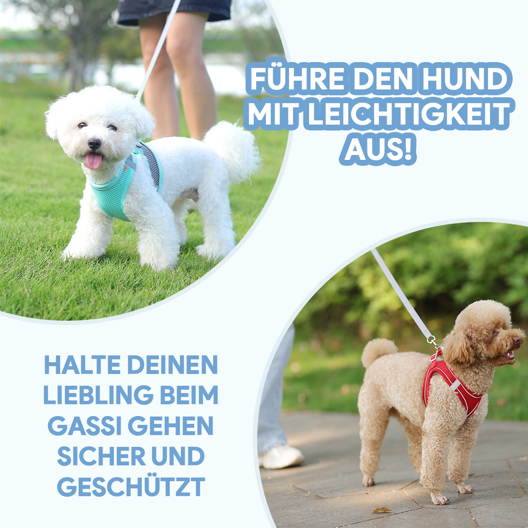 Deinlieblingstier - Anti Zug Welpengeschirr