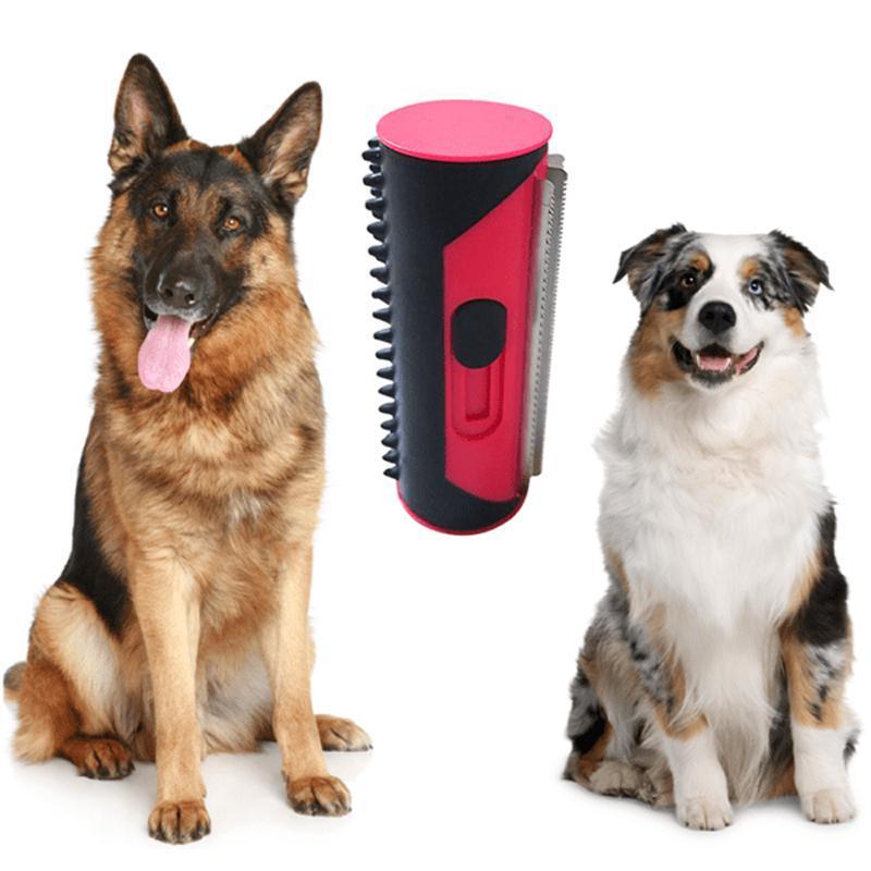 tierhaarentferner für hunde