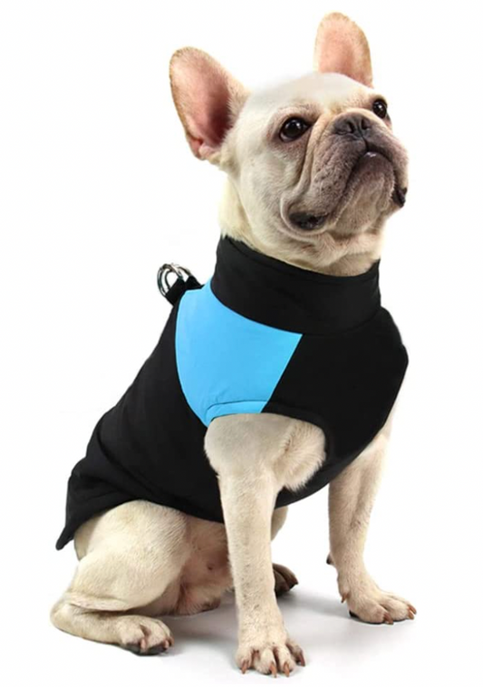 Winter-Hundejacke / Hundeweste / Hundemantel - wasserdicht, warm & weich_blau 2_bulldogge