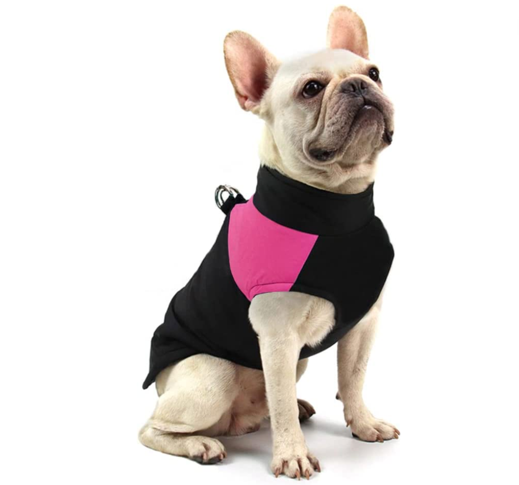 Winter-Hundejacke / Hundeweste / Hundemantel
