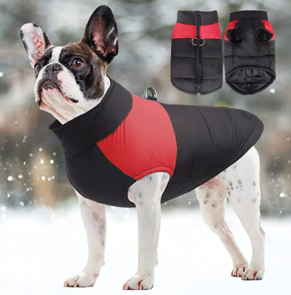 Winter-Hundejacke / Hundeweste / Hundemantel - wasserdicht, warm & weich_rot_bulldogge