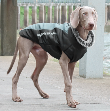 Allwetter Hundejacke mit Innenfutter und integriertem Geschirr grau 8