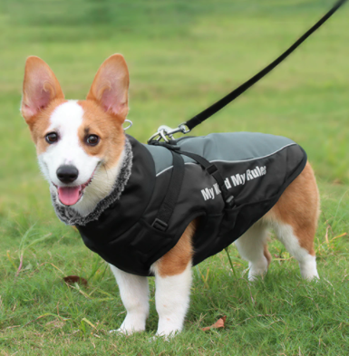 Allwetter Hundejacke mit Innenfutter und integriertem Geschirr grau 11