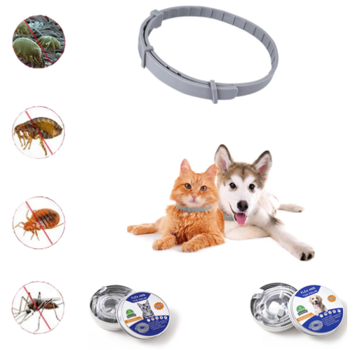 Anti Zecken & Flöhe Halsband für Hunde und Katzen mit ätherischen Ölen –  Pfoten Paradies