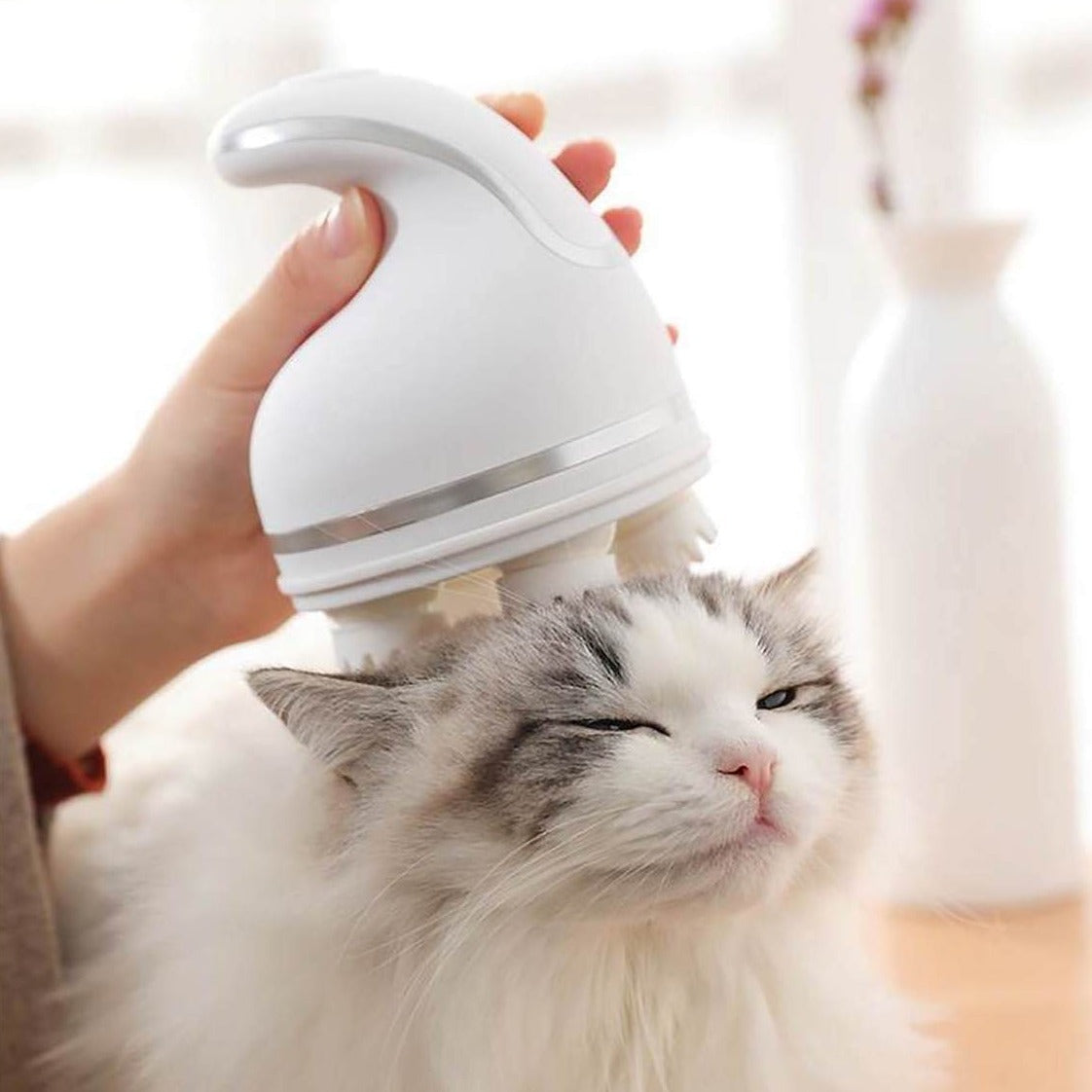 Massagegerät für Katzen