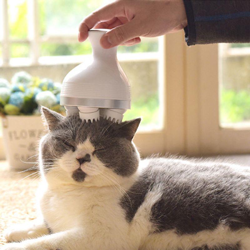 Massagegerät für Katzen