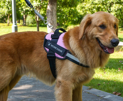 Flexy™ Power Hundegeschirr, strapazier- und anpassbar _rosa 5