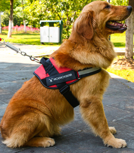 Flexy™ Power Hundegeschirr, strapazier- und anpassbar _rot 3