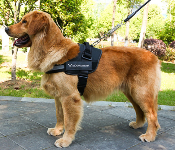 Flexy™ Power Hundegeschirr, strapazier- und anpassbar_schwarz 5