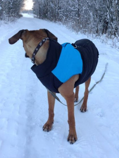 Winter-Hundejacke / Hundeweste / Hundemantel - wasserdicht, warm & weich_blau 3
