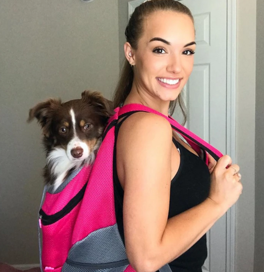 Hunde-Tragerucksack für kleine & mittelgroße Hunde bis max. 11 kg - super bequem & größenverstellbar_pink