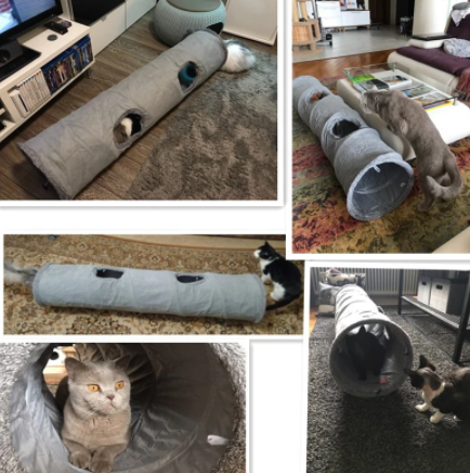 katzenspielzeug katzentunnel deinlieblingstier.com
