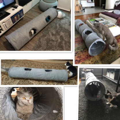 katzenspielzeug katzentunnel deinlieblingstier.com