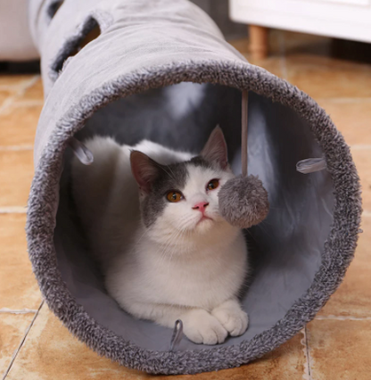katzenspielzeug katzentunnel testsieger