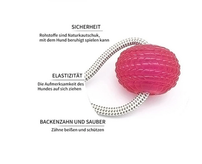 hundespielzeug rot testsieger