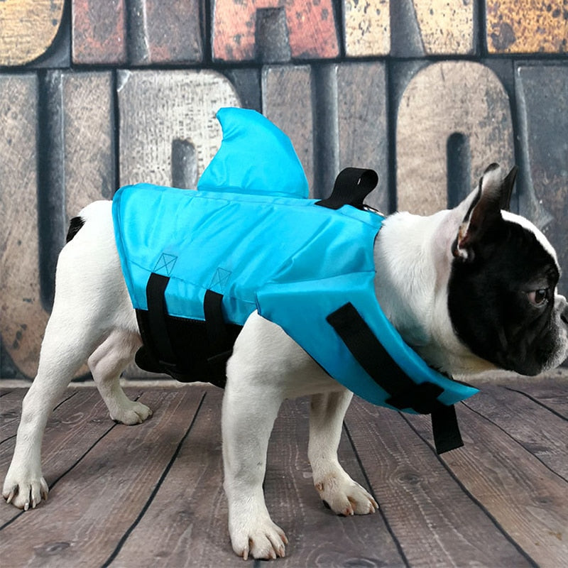hunde schwimmweste blau tetssieger