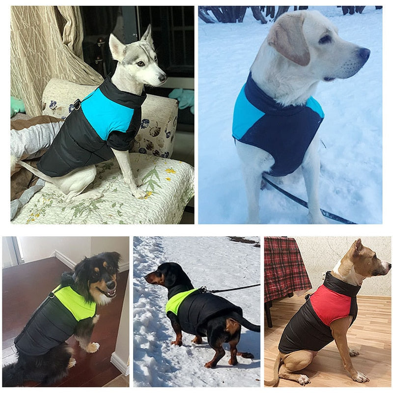 Winter-Hundejacke / Hundeweste / Hundemantel - wasserdicht, warm & weich_hunderassen