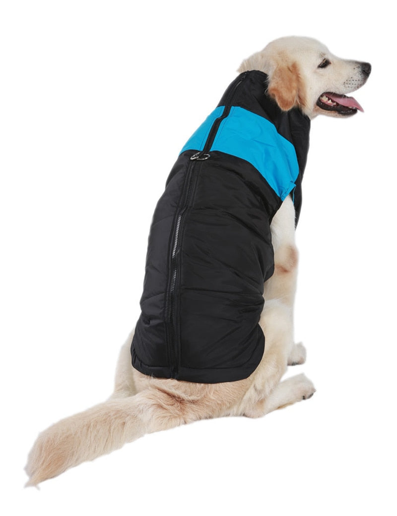 Winter-Hundejacke / Hundeweste / Hundemantel - wasserdicht, warm & weich_blau 5