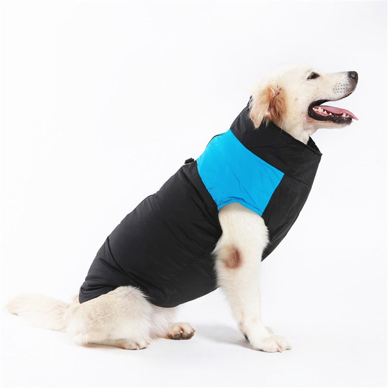 Winter-Hundejacke / Hundeweste / Hundemantel - wasserdicht, warm & weich_blau 6